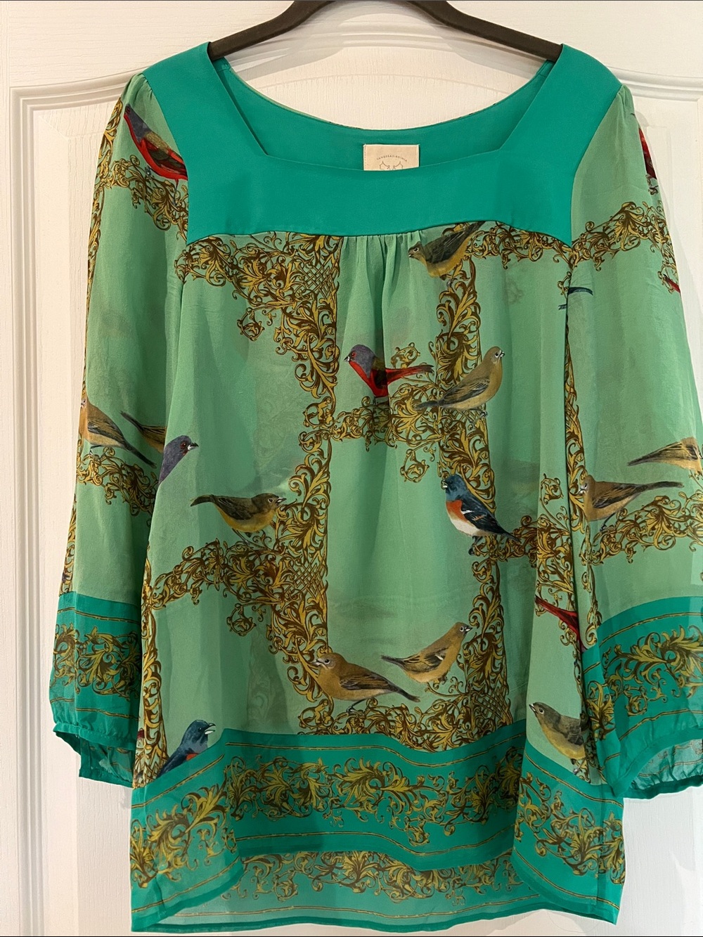 Mint Green Sheer Bird-Print Blouse with Square Yoke